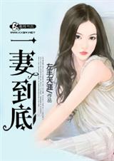 一妻到底封面