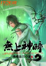 无上神瞳封面