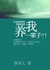 养我一辈子封面