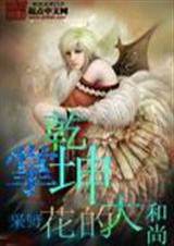 掌乾坤封面