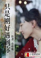 只是刚好遇见你封面