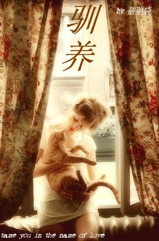 驯养+番外封面