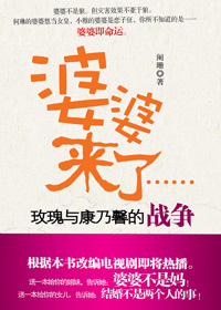 婆婆来了封面