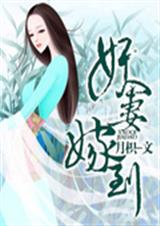 妖妻嫁到封面