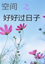 空间之好好过日子封面