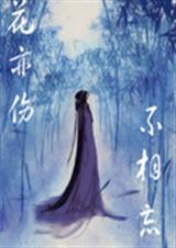 花亦伤不相忘封面