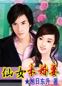 仙女未婚妻封面