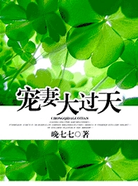 宠妻大过天封面