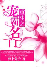 重生之宠霸名门封面