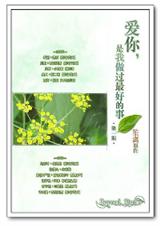 爱你,是我做过最好的事&笙篱封面