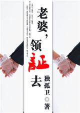 老婆,领证去 完结封面