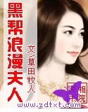 黑帮浪漫夫人封面