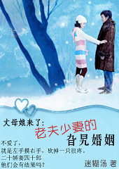 丈母娘来了:老夫少妻的旮旯婚姻封面