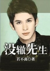 没辙先生封面