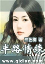 半路情缘封面