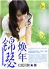 锦瑟焕年封面
