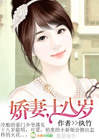 娇妻十八岁 全本封面