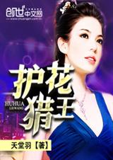 护花猎王封面