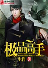 极品高手封面