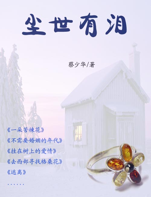 尘世有泪封面