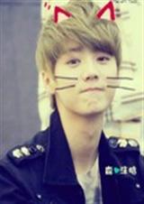 Exo那些少年封面