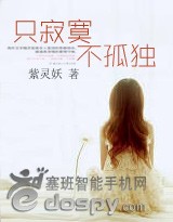 只寂寞不孤独封面