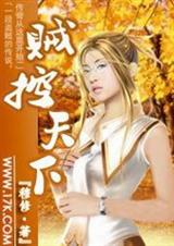 贼控天下封面