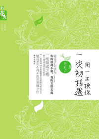 刻骨铭心初恋男友:用一生换你一次初相遇封面