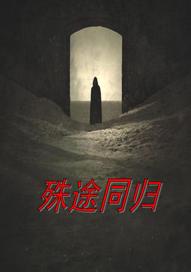 殊途同归封面