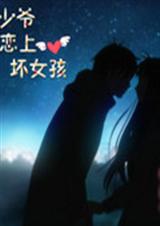 冷少爷恋上坏女孩封面