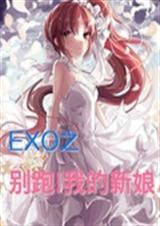 EXO之别跑我的新娘封面