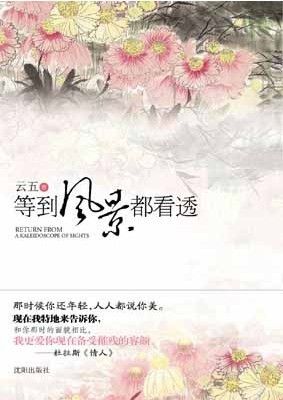 到风景都看透(已出版)封面