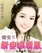 婚变Ⅱ:新妻难驯服封面
