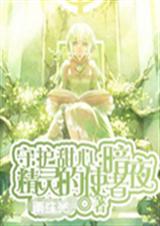 守护甜心之暗夜精灵的封面