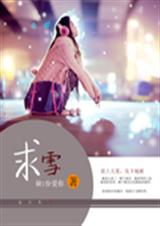 求雪封面