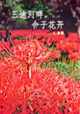 ��;�������ӻ���