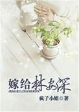 嫁给林安深 疯子小姐封面