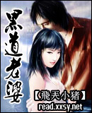 黑道老婆封面