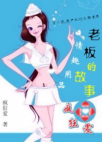 疯狂爱:情趣用品老板的故事封面
