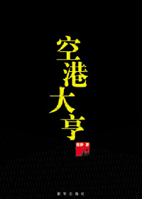 空港大亨封面