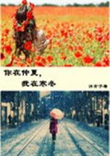 你在仲夏我在寒冬封面