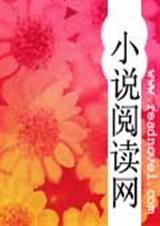 逃跑总裁妻之总裁大人好眼熟封面
