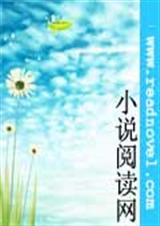 日月的森林封面