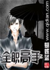 全职高手(全本完结)封面