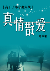 真情错爱封面