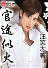 官途似火封面