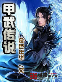 甲武传说(上)封面