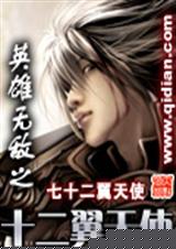 英雄无敌之十二翼天使-封面