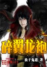 碎翼龙袍封面