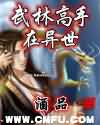 武林高手在异世封面